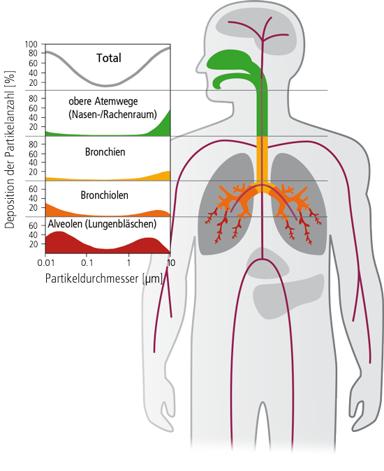 ISO 16890 fine dust disposition in the lung Fine dust deposition in the respiratory tract